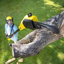Best Sod Installation  in Yale, OK