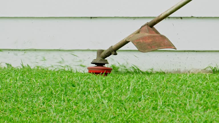 Best Commercial Tree Services  in Yale, OK